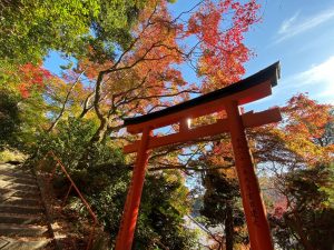 【オンライン京都旅行】「柳⾕観⾳ 楊⾕寺（ようこくじ）」絵馬代行奉納or御朱印作成